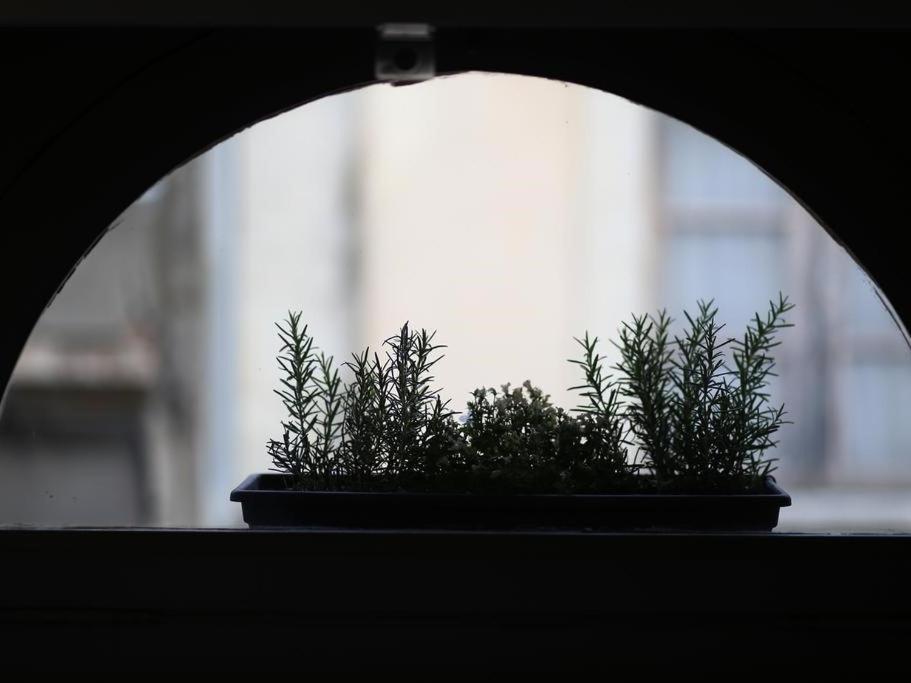 Le Relais De La Maison Bacou Καρκασόν Εξωτερικό φωτογραφία