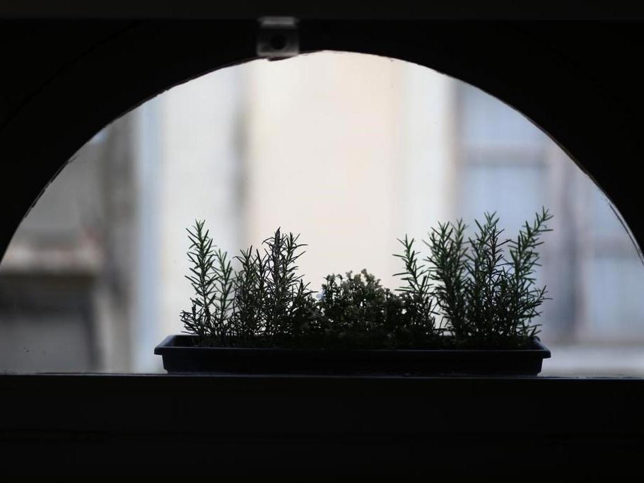 Le Relais De La Maison Bacou Καρκασόν Δωμάτιο φωτογραφία